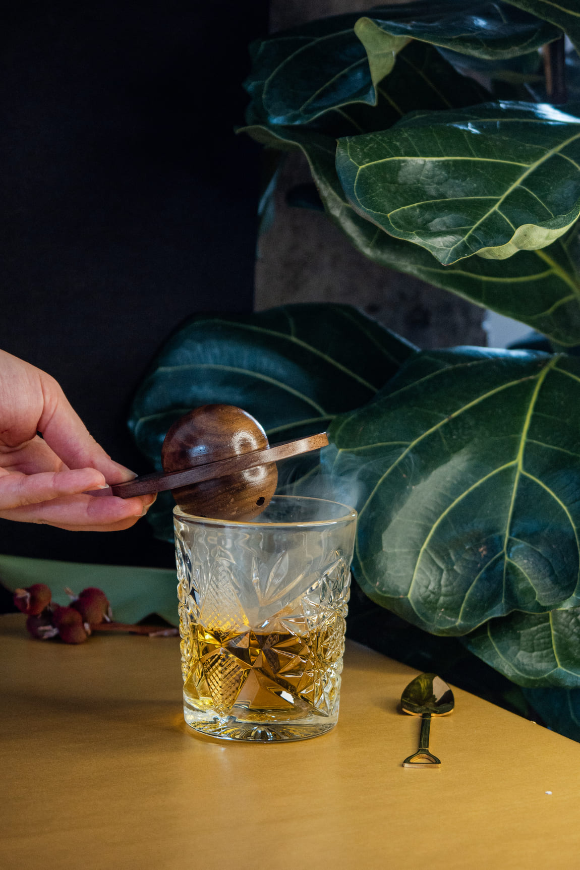 Cocktail Smoker Kit with Wood Chips (4).jpg